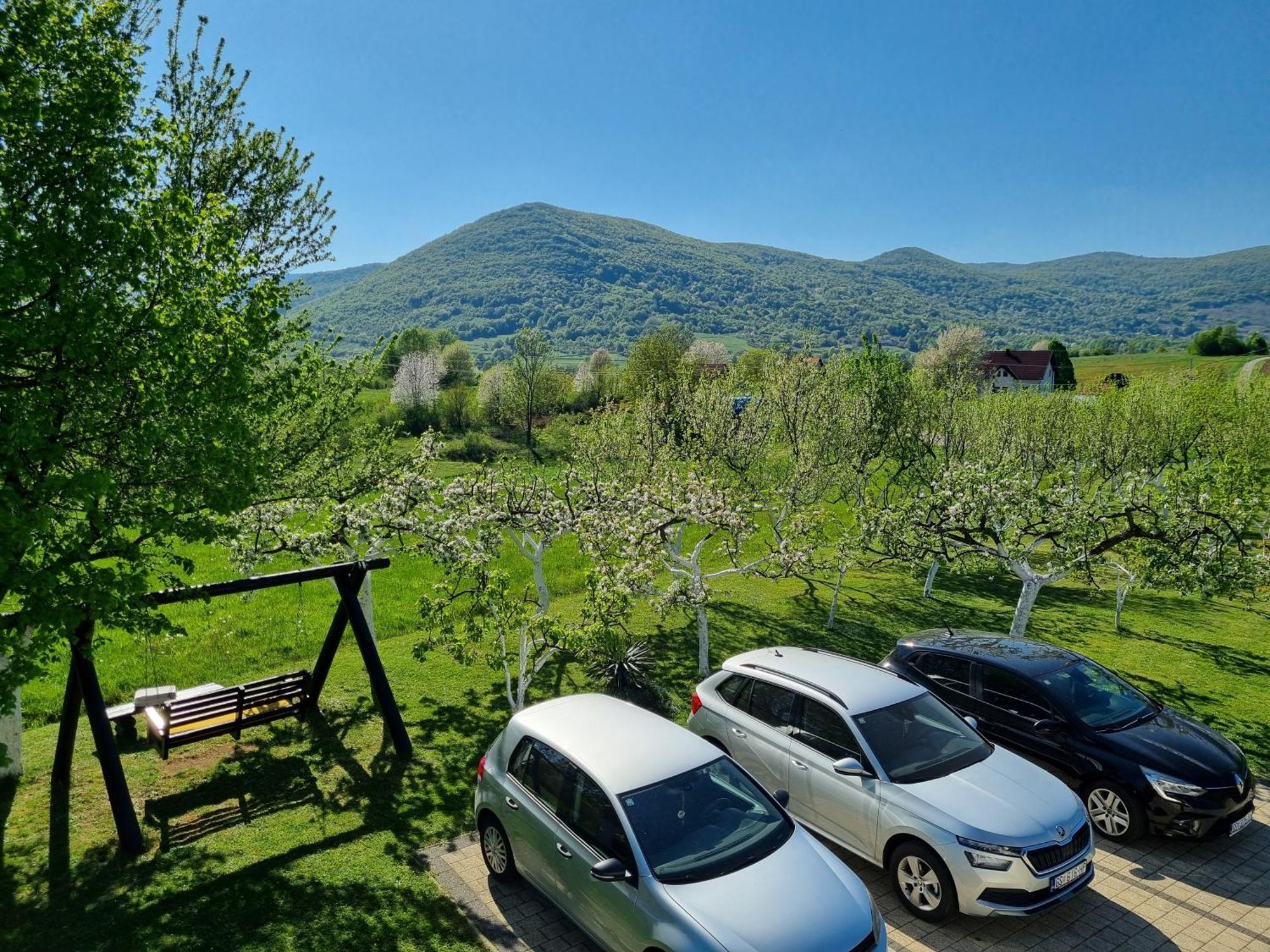 Apartment Rosandic Smoljanac Buitenkant foto