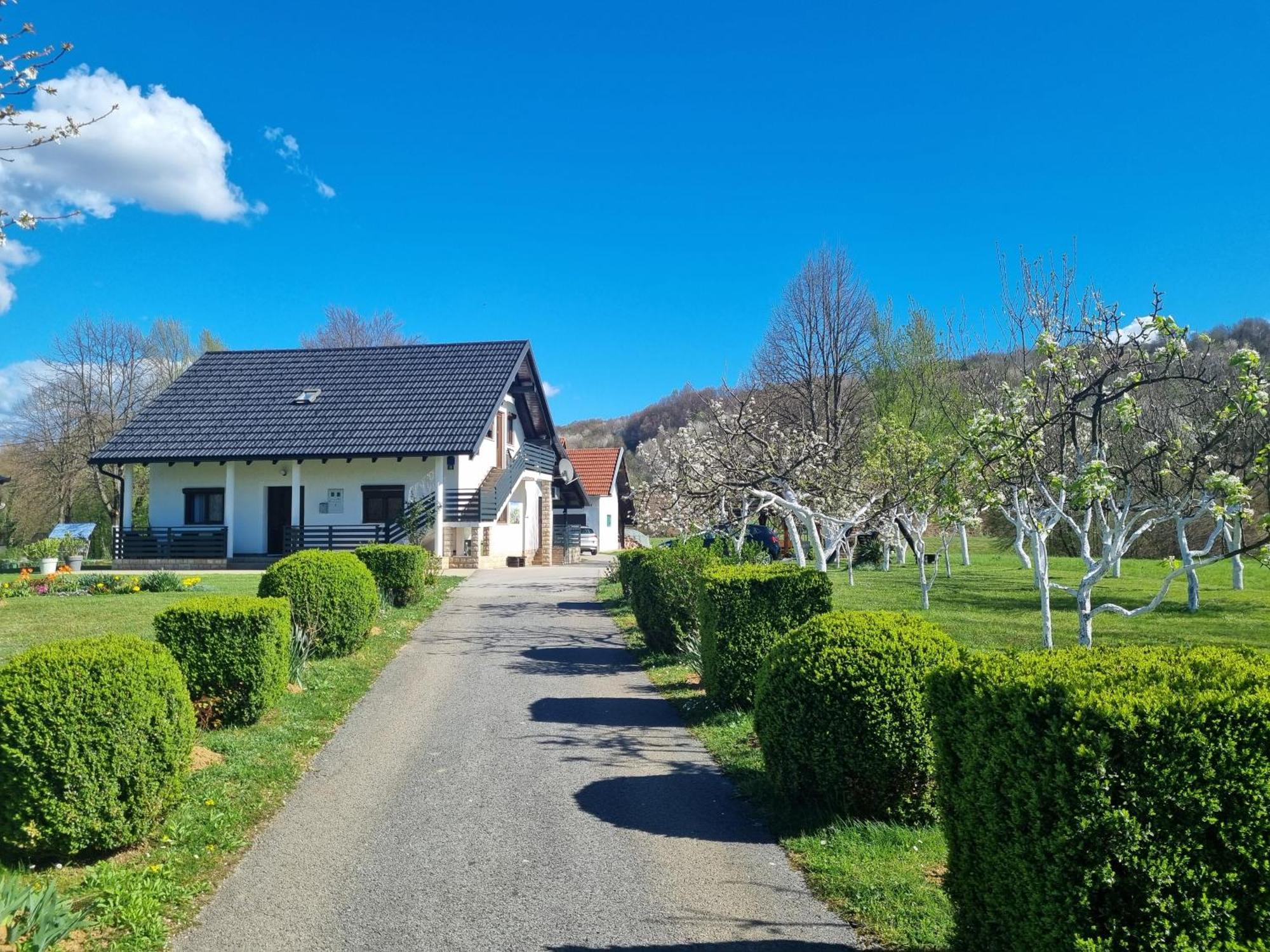 Apartment Rosandic Smoljanac Buitenkant foto
