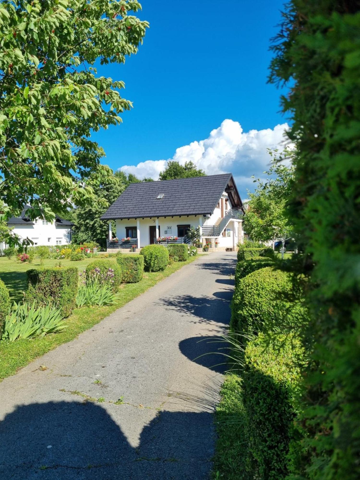 Apartment Rosandic Smoljanac Buitenkant foto