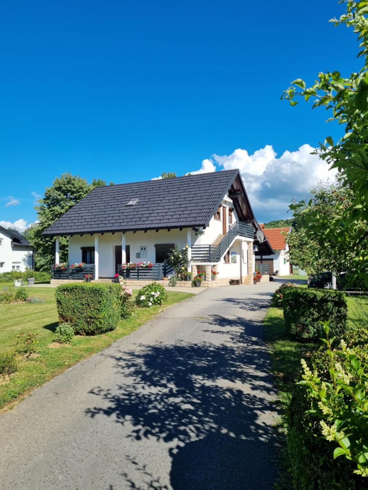Apartment Rosandic Smoljanac Buitenkant foto